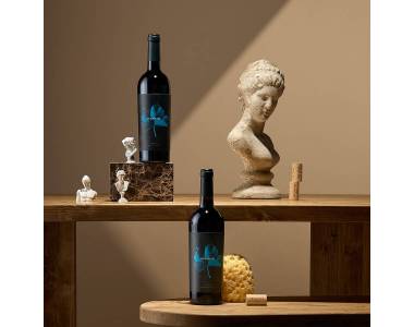 PACK VINO 603 VEGAMAR