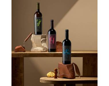 PACK VINO 604 VEGAMAR