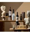 PACK GOURMET 608 VEGAMAR