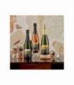 PACK CAVA VEGAMAR 601