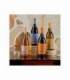 PACK VINO VEGAMAR 602