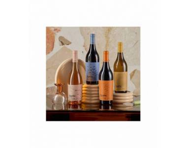 PACK VINO VEGAMAR 602