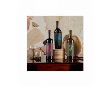 PACK VINO VEGAMAR 604