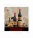 PACK VINO VEGAMAR 607